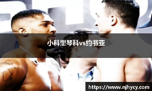 小科里琴科vs约书亚
